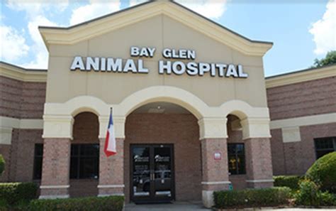 Bay Glen Animal Hospital: 24/7 Emergency Care for Your Beloved Companion