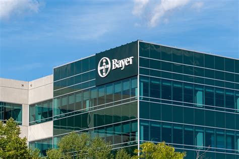 Bayer Company Stock: A Deep Dive into Bayer's Financial Performance