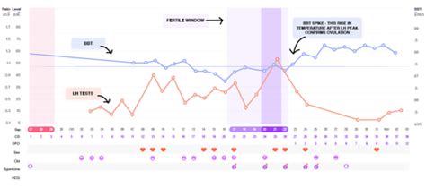 Bbt Chart With Pcos