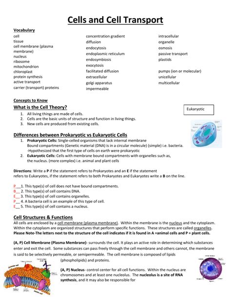 Bcps Biology Genetics Packet Cell Answers Kindle Editon