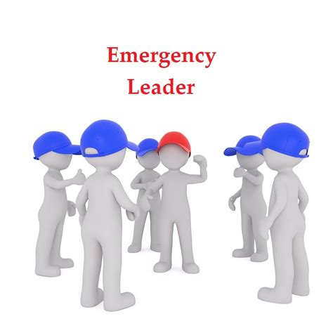 Be Alert Leaders Guide Reader