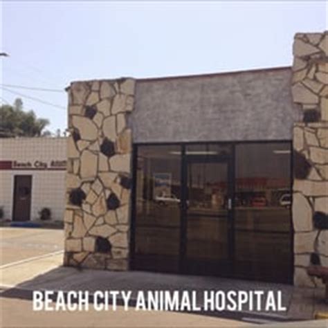 Beach City Animal Hospital