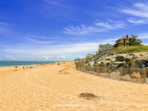 Beach Plum Island Doc