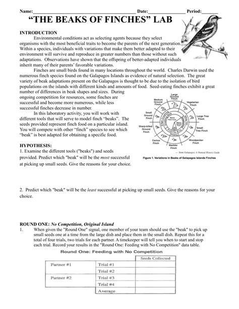 Beaks Of Finches Lab Answer Packet Reader