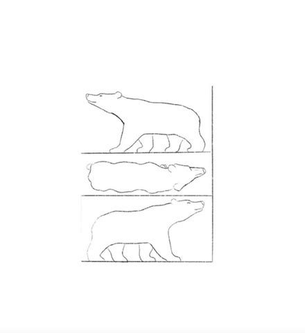 Bear Carving Template