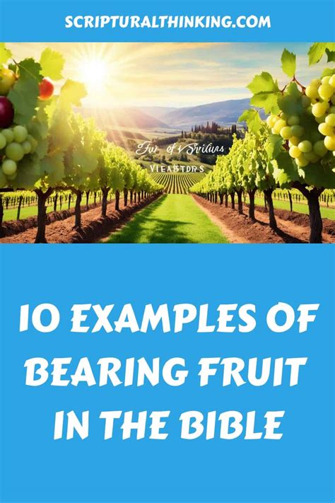 Bearing Fruit in the Bible: A Journey of Faith and Transformation