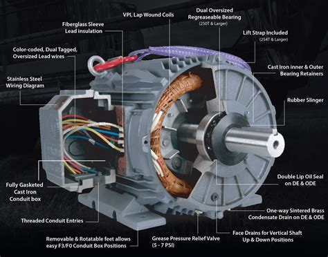 Bearings: The Silent Guardians of Electric Motors