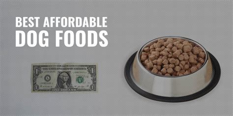 Beat the Bank: 100 Affordable Dog Food Options