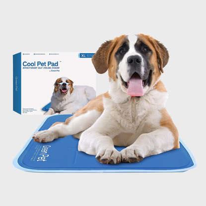 Beat the Heat: A Comprehensive Guide to Cooling Dog Beds for Your Beloved Companion