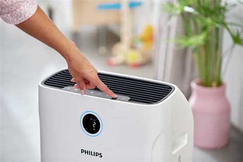 Beat the Humidity: Your Essential Guide to Dehumidifier Savings