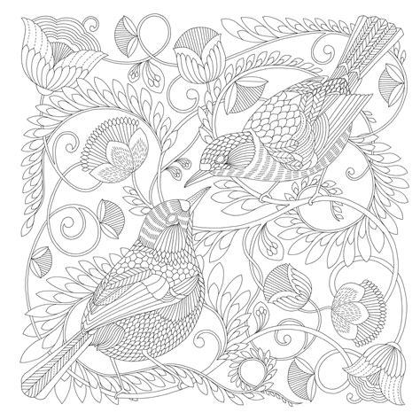 Beautiful Birds and Treetop Treasures A Millie Marotta Adult Coloring Book