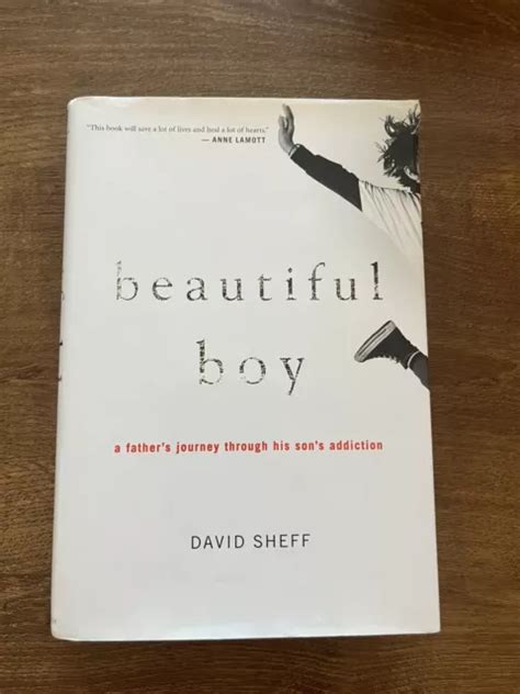 Beautiful Boy: A Fathers Journey Through His Sons Addiction Ebook Epub