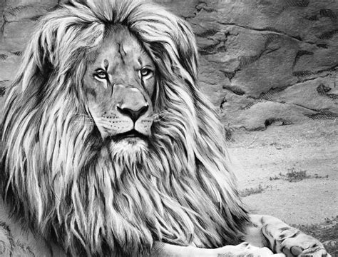 Beautiful Creatures Grayscale Coloring Animals PDF