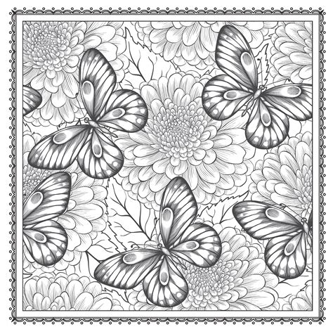 Beautiful Designs and Patterns Adult Coloring Book Doc