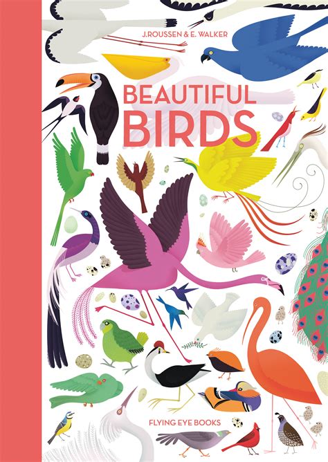 Beautiful Life of Birds Photo books Fantasy World of Birds Photography Pictures Books V2 full colors Photo books of Birds Doc