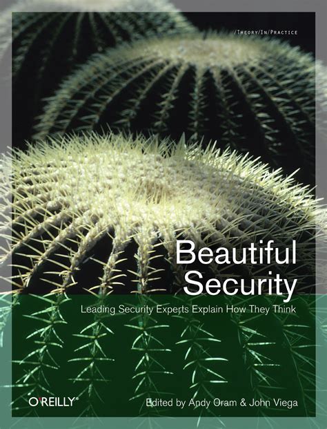 Beautiful Security: Leading Security Experts Explain How They Think Epub