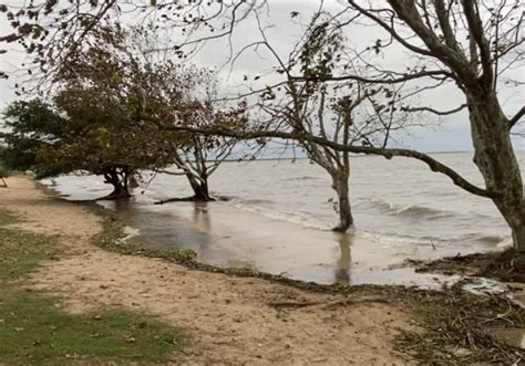 Bebês Boiam no Rio Grande do Sul: Uma Análise Abrangente sobre o Fenômeno