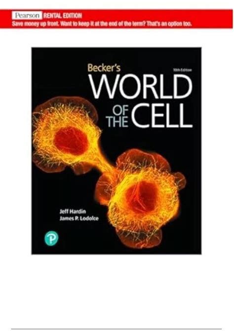 Becker World Of The Cell Answers Reader