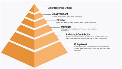 Become a Sales Superstar with These Entry-Level Opportunities