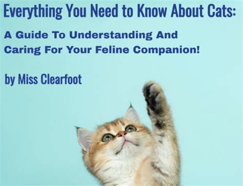 Becoming a Lil' Purrmaid: A Comprehensive Guide to Caring for Your Feline Companion