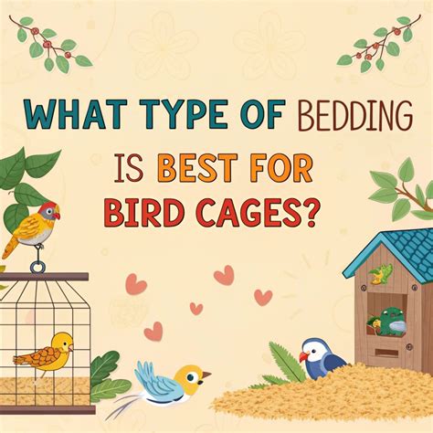 Beds for Birds: A Comprehensive Guide to Providing Comfort and Security for Your Feathered Friends