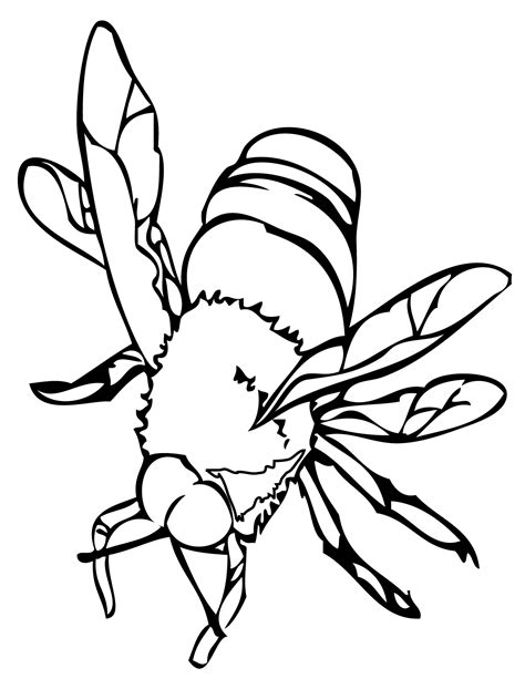Bee Coloring Page Printable
