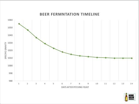 Beer Fermentation Time Chart
