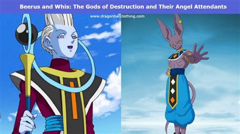 Beerus X Whis: A Cosmic Coupling of God and Angel