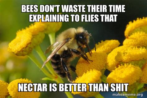 Bees Don't Waste Their Time Explaining to Flies