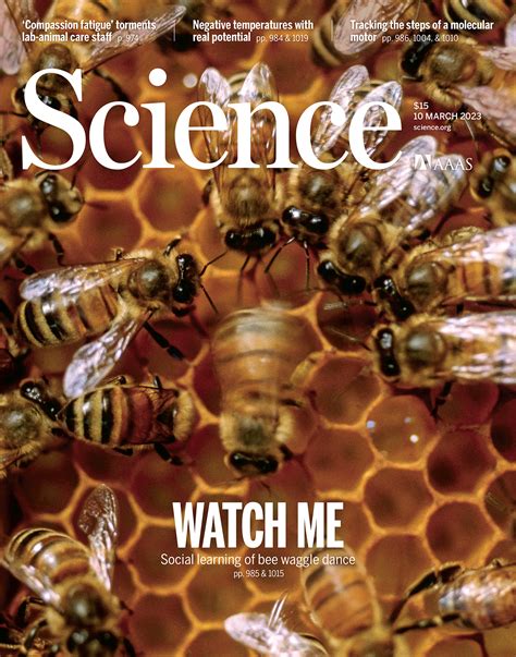 Bees and the Science of Happiness