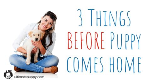 Before You Bring Your Puppy Home