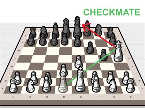 Beginner's Guide to Winning Chess Kindle Editon