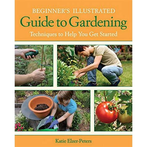 Beginner s Illustrated Guide to Gardening Techniques to Help You Get Started Doc