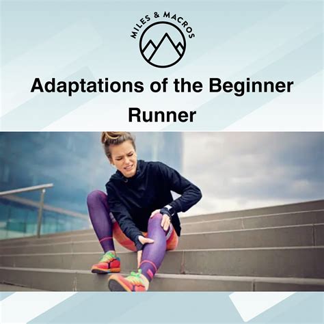 Beginner-Friendly Adaptations: