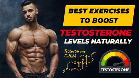 Beginners guide to Optimize and Supplement Testosterone 5 Secrets To Boost Testosterone Level By X5 PDF