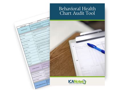 Behavioral Health Chart Audit Tool