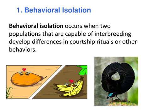 Behavioral Isolation