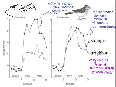 Behavioral Neurobiology of Bird Song Reader