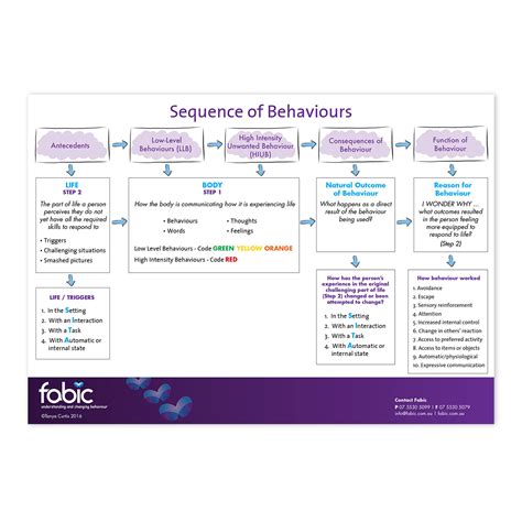 Behaviour PDF