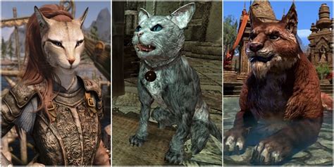 Behold the Enigmatic Khajiit: Unveiling the Feline Grace and Lore of Tamriel's Feline Folk