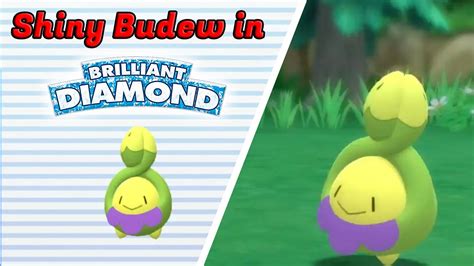 Behold the Ethereal Radiance of Shiny Budew