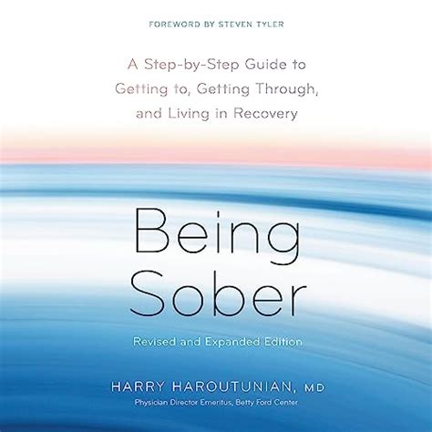 Being Sober A Step-by-Step Guide to Getting To Getting Through and Living in Recovery PDF