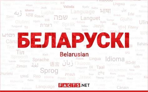 Belarus.Studio: A Comprehensive Guide to the Belarusian Software Development Powerhouse