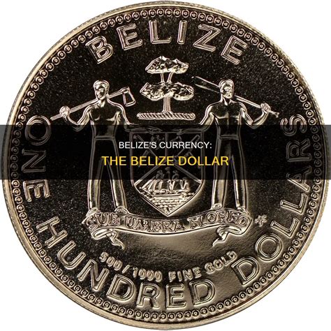 Belize Dollar: A Comprehensive Guide to the Currency of Belize