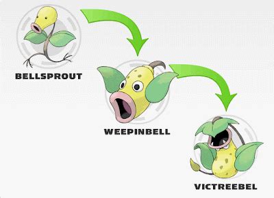 Bellsprout's Evolution Line