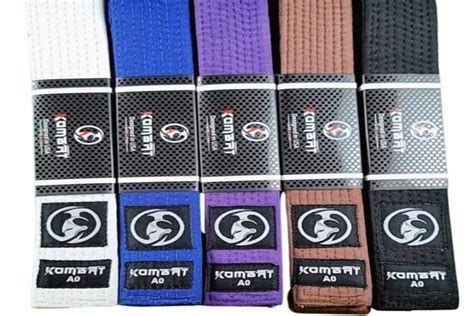 Belt vs. Theme: A Comprehensive Guide to Choosing the Right Approach for Your BJJ Training