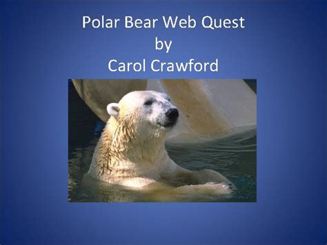 Ben Riddell Polar Bear Web Solutions Home Page 2 Epub