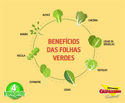 Benefícios das Folhas Verdes