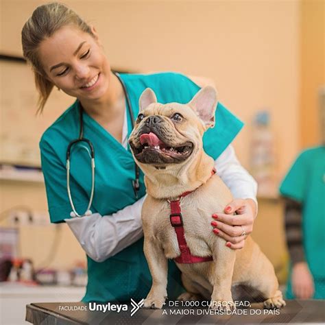 Benefícios e Importância do Veterinário para o Casino