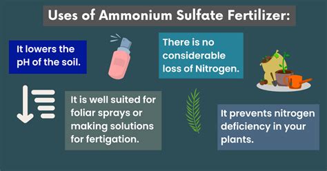 Benefits of Ammonium Sulphate Fertilizer